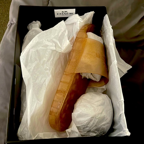 Coach slides - Picture 1 of 3